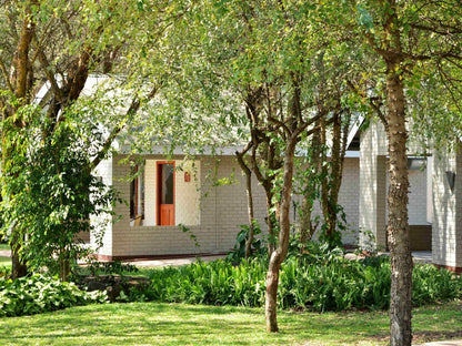 River View Lodge, House, Building, Architecture, Plant, Nature