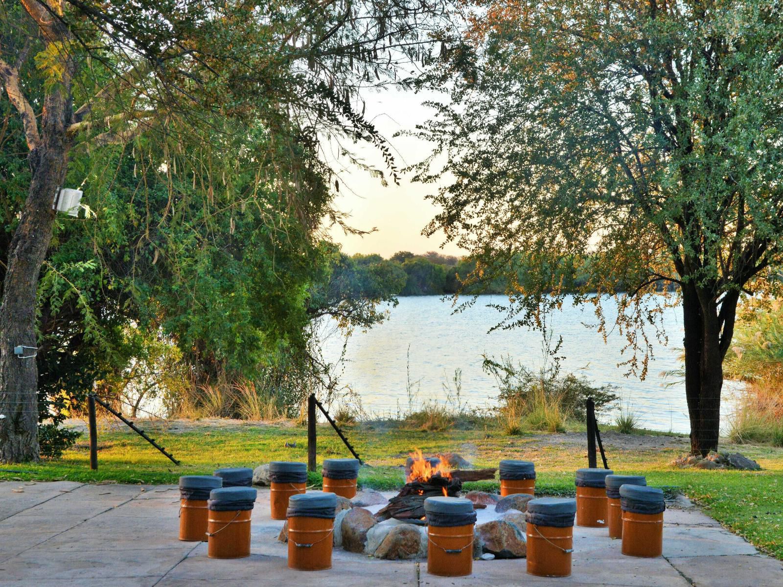 River View Lodge, Boat, Vehicle, Canoe, Tree, Plant, Nature, Wood