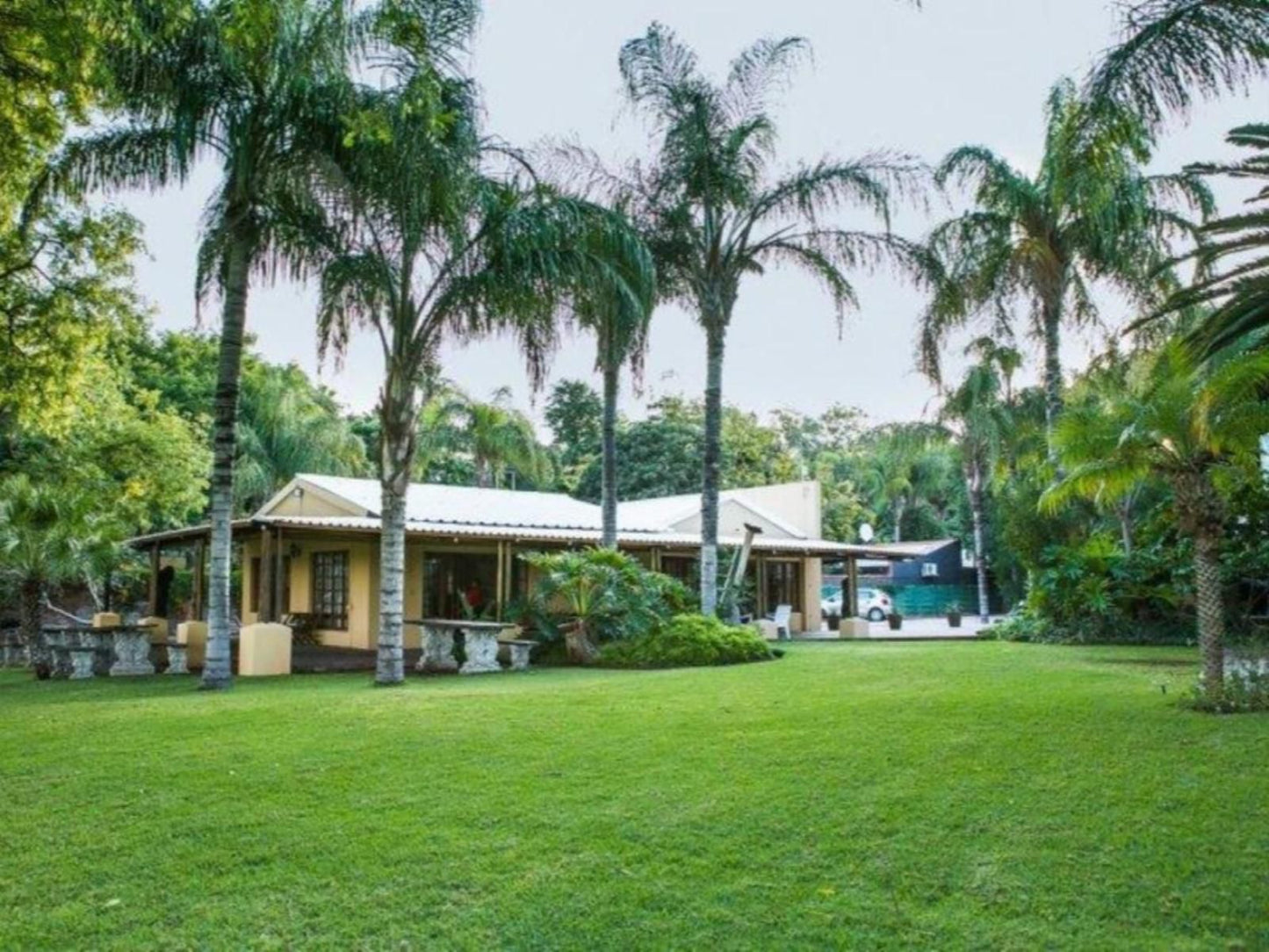 River Bank Lodge Upington Northern Cape South Africa Palm Tree, Plant, Nature, Wood