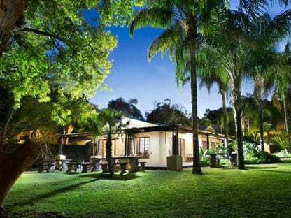 River Bank Lodge Upington Northern Cape South Africa Palm Tree, Plant, Nature, Wood