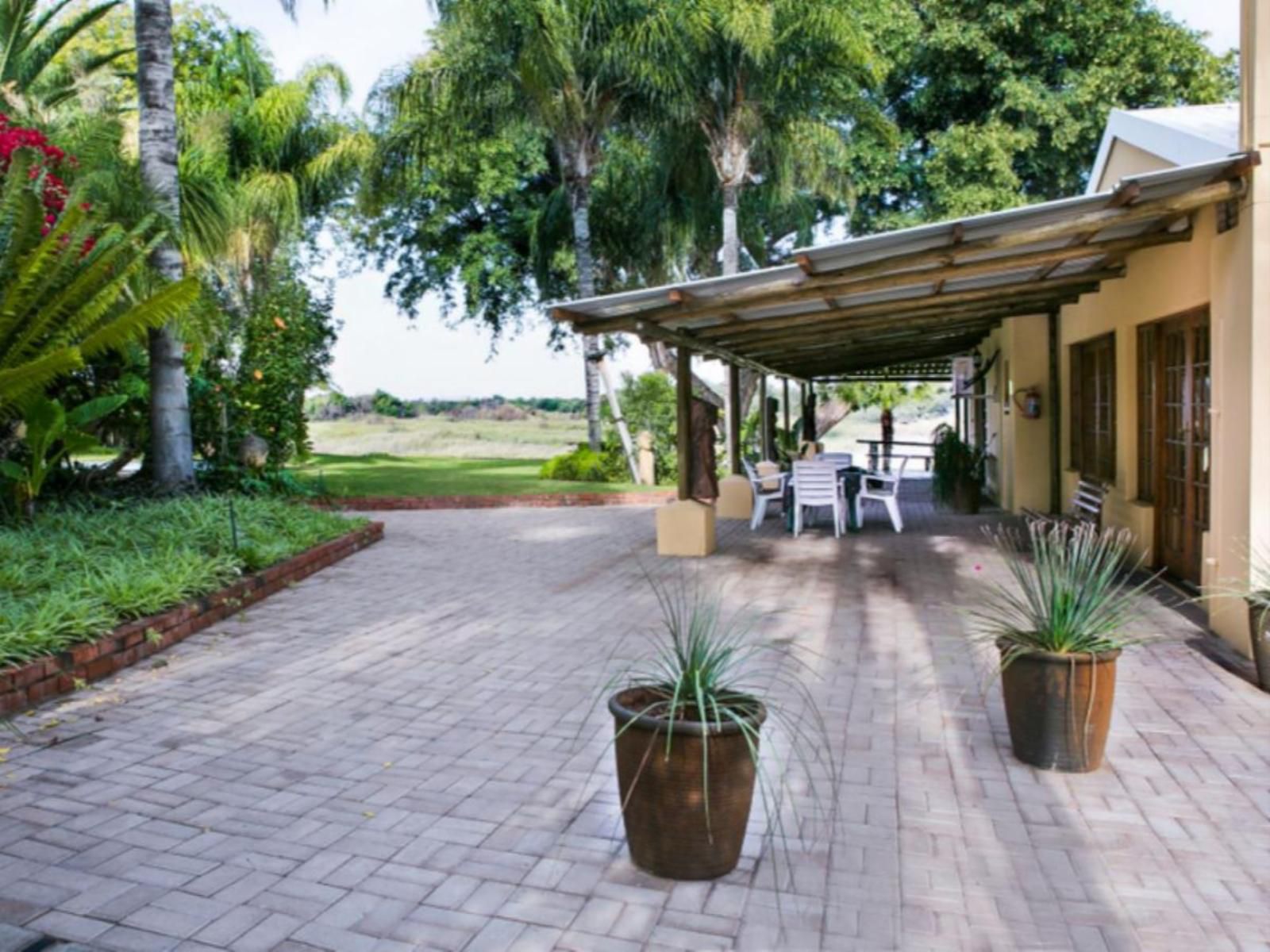 River Bank Lodge Upington Northern Cape South Africa Palm Tree, Plant, Nature, Wood