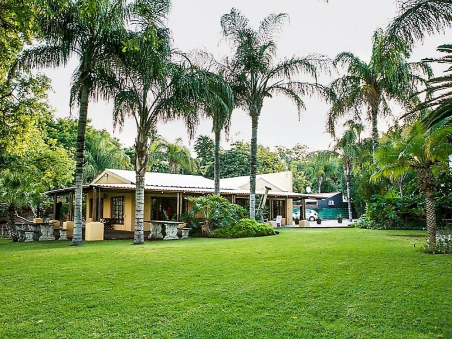 River Bank Lodge Upington Northern Cape South Africa Palm Tree, Plant, Nature, Wood