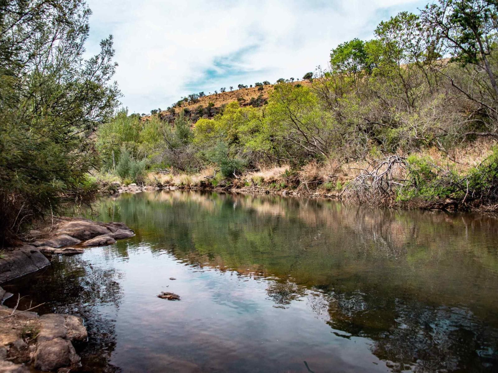 Riverbed Africa Lydenburg Mpumalanga South Africa Canyon, Nature, River, Waters