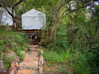 Glamping @ Riverbed Africa