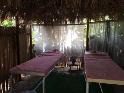 Riverdeck Accommodation Goukamma Nature Reserve Western Cape South Africa Palm Tree, Plant, Nature, Wood, Tent, Architecture