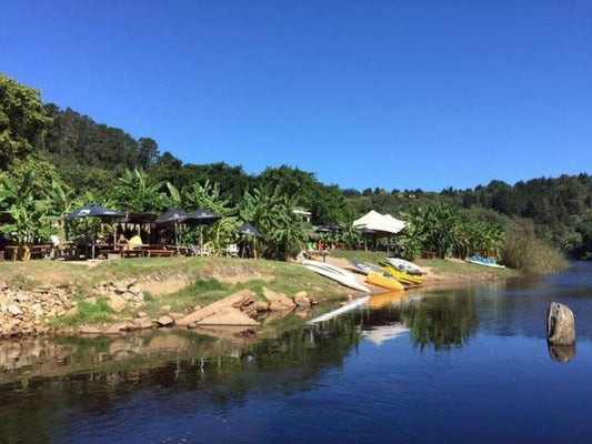 Riverdeck Accommodation Goukamma Nature Reserve Western Cape South Africa Complementary Colors, Palm Tree, Plant, Nature, Wood, River, Waters