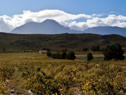 River Edge Accommodation Bainskloof Western Cape South Africa Complementary Colors, Field, Nature, Agriculture, Mountain, Highland