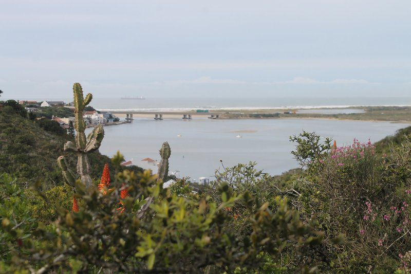 Riverfront Backpackers Redhouse Eastern Cape South Africa Beach, Nature, Sand, Tower, Building, Architecture