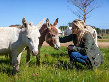 Rivergate Guest Farm