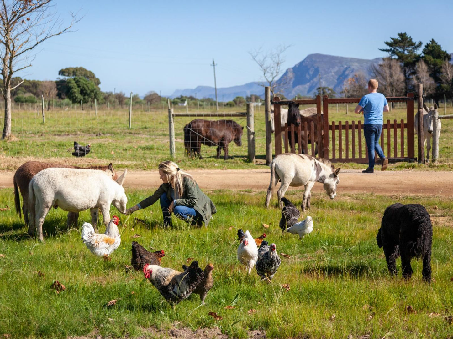 Rivergate Guest Farm