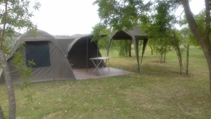 River Goose Camp Site Bonnievale Western Cape South Africa Tent, Architecture