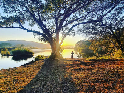 River Hill Lodge Komatipoort Mpumalanga South Africa Tree, Plant, Nature, Wood, Autumn, Sunset, Sky