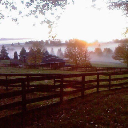 Riverholm Country Estate Nottingham Road Kwazulu Natal South Africa Barn, Building, Architecture, Agriculture, Wood, Fog, Nature, Tree, Plant, Sunset, Sky