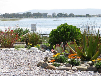 Riverhouse Velddrif Port Owen Velddrif Western Cape South Africa Lake, Nature, Waters, Garden, Plant