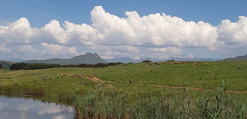 Riverlea Farm Underberg Kwazulu Natal South Africa Mountain, Nature, Sky, Lowland