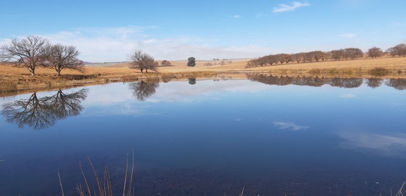 Riverlea Farm Underberg Kwazulu Natal South Africa Lowland, Nature