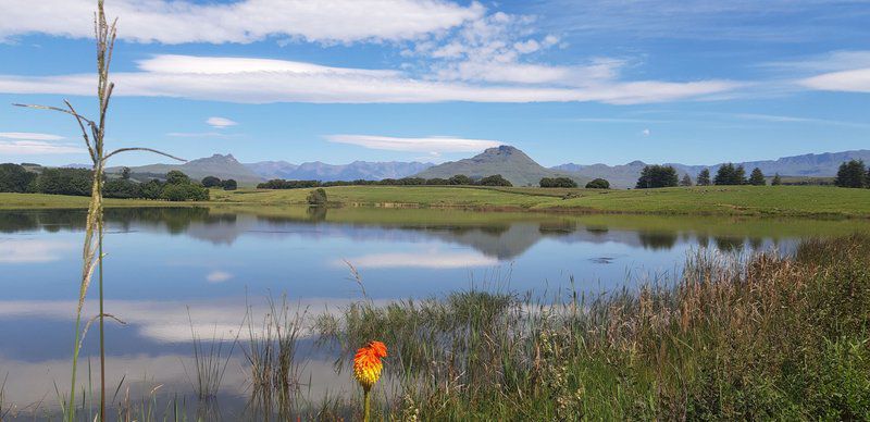 Riverlea Farm Underberg Kwazulu Natal South Africa Mountain, Nature