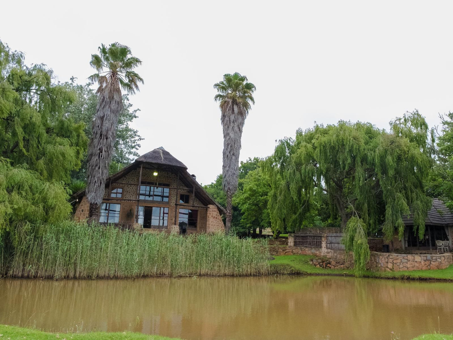 Riverman Cabin Country Lodge, Palm Tree, Plant, Nature, Wood, River, Waters