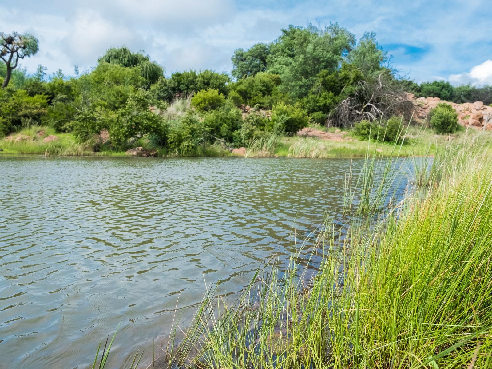 Riverman Cabin Dullstroom Mpumalanga South Africa Complementary Colors, River, Nature, Waters