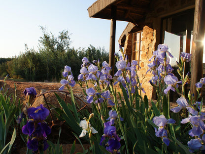 Brown Cabin - Family @ Riverman Cabin