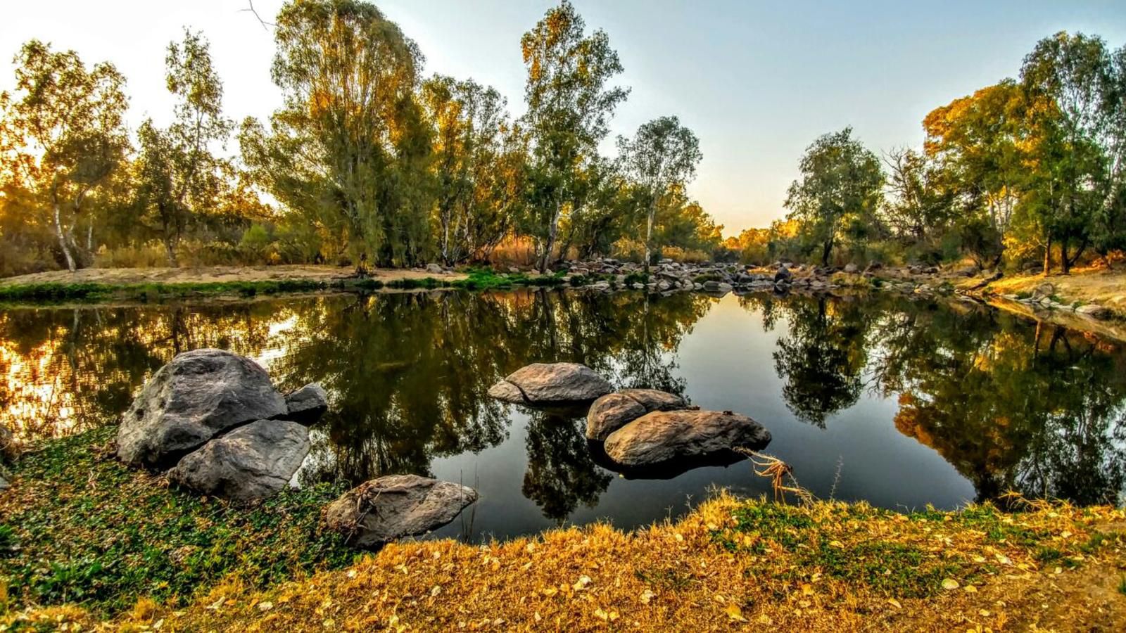 River Rock Lodge Parys Free State South Africa River, Nature, Waters, Tree, Plant, Wood, Autumn