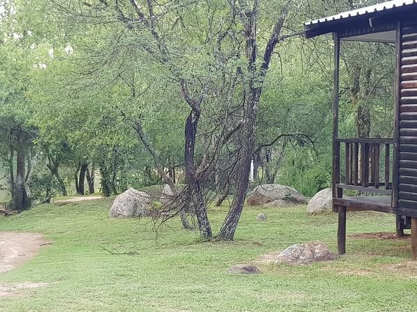 River Rock Lodge Parys Free State South Africa Cabin, Building, Architecture, Ruin, Tree, Plant, Nature, Wood