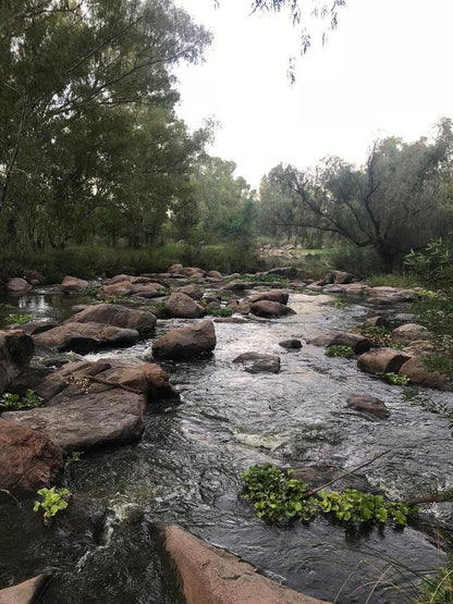 River Rock Lodge Parys Free State South Africa Forest, Nature, Plant, Tree, Wood, River, Waters