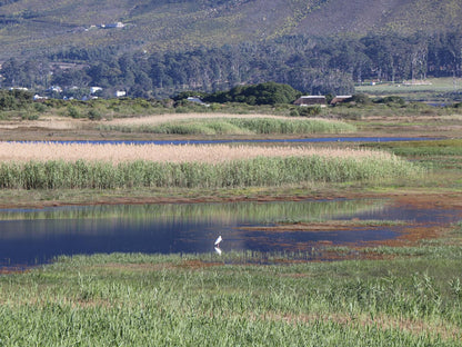 Rivers End Farm Stanford Stanford Western Cape South Africa Lake, Nature, Waters, Highland