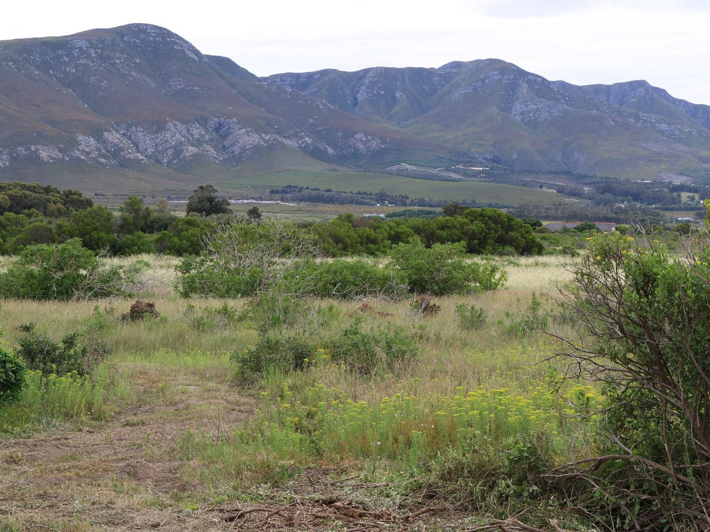 Rivers End Farm Stanford Stanford Western Cape South Africa Mountain, Nature, Highland