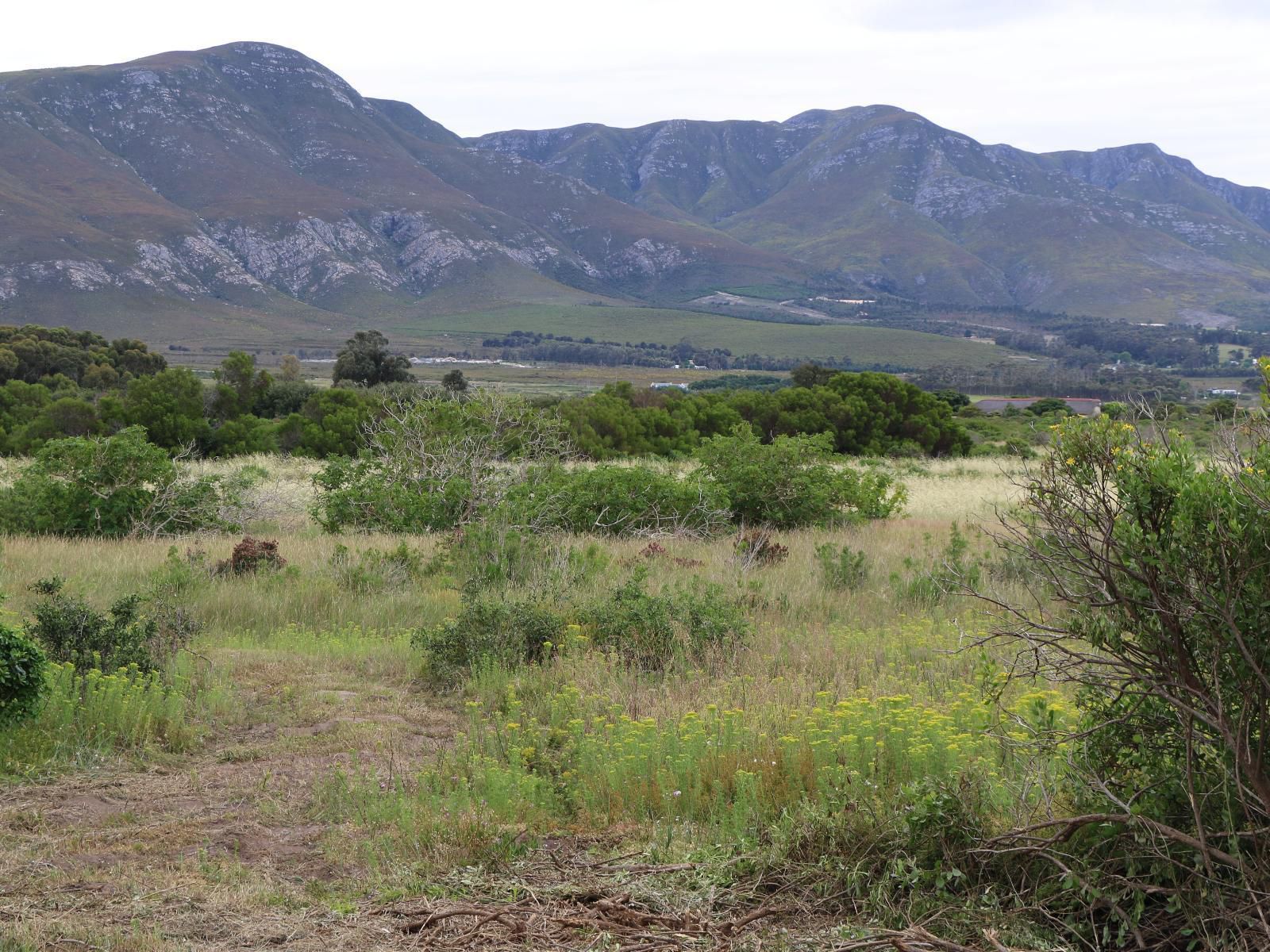 Rivers End Farm Stanford Stanford Western Cape South Africa Mountain, Nature, Highland