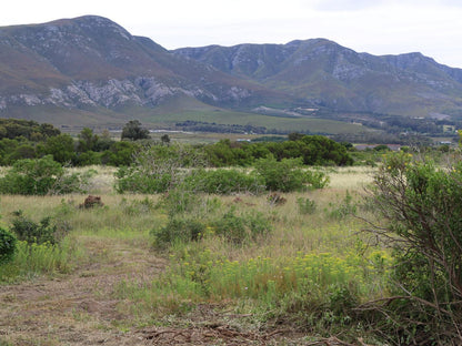 Rivers End Farm Stanford Stanford Western Cape South Africa Mountain, Nature, Highland