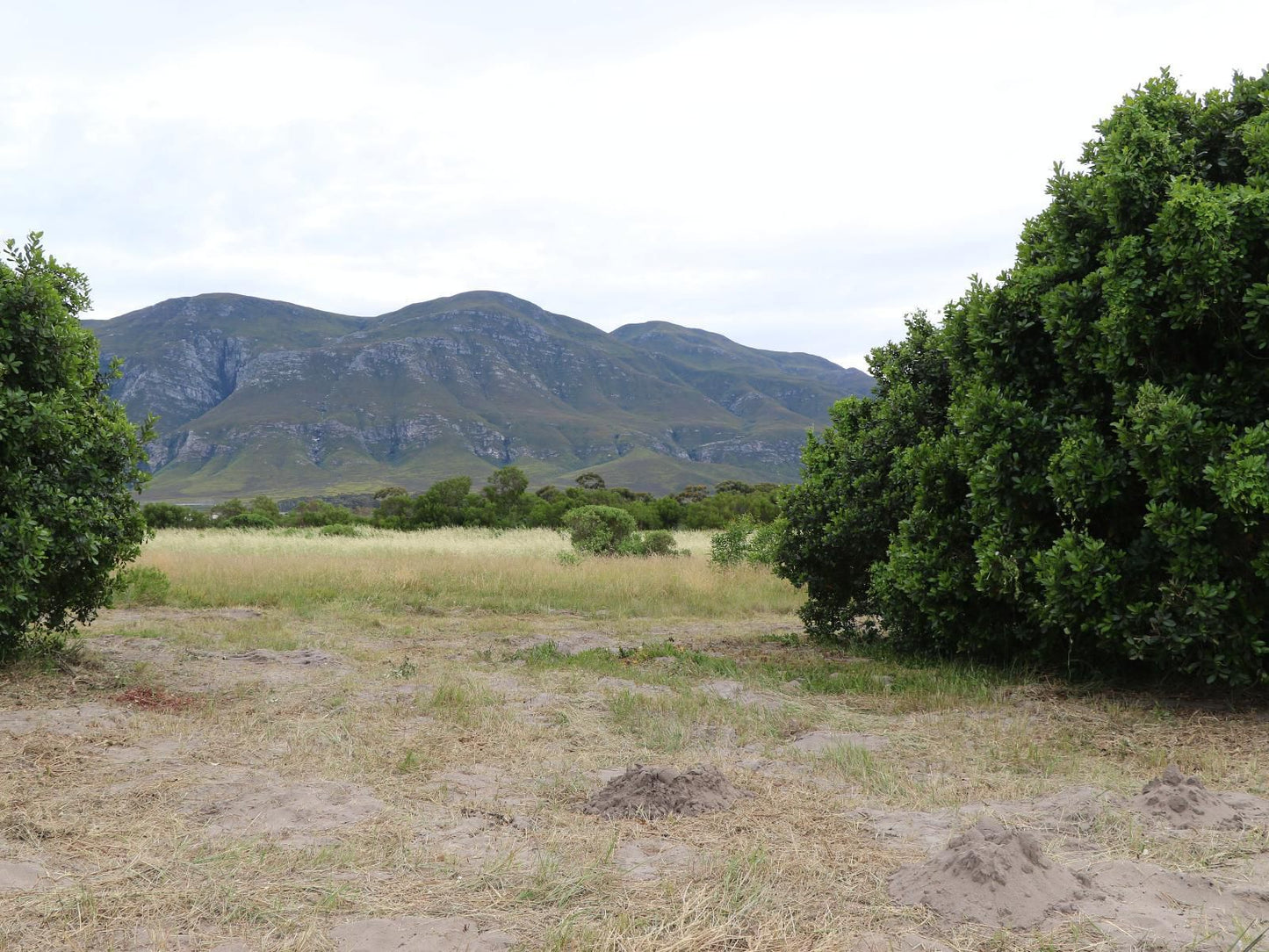 Rivers End Farm Stanford Stanford Western Cape South Africa Mountain, Nature, Highland