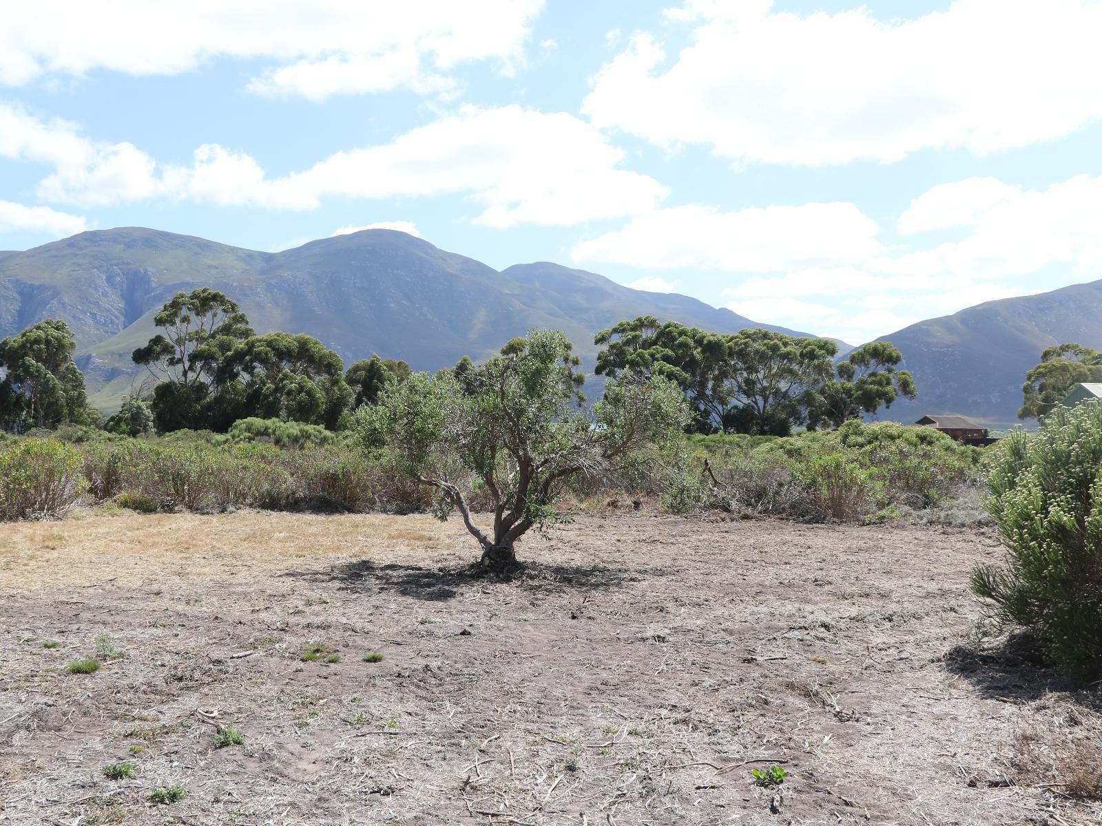 Rivers End Farm Stanford Stanford Western Cape South Africa Mountain, Nature, Desert, Sand