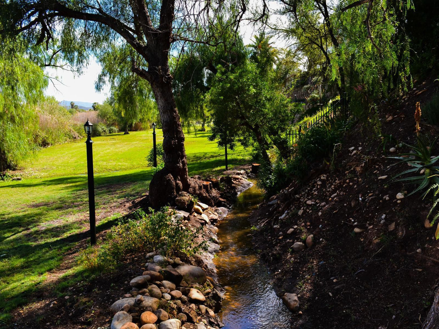 Riverside Guest Lodge, Plant, Nature, River, Waters, Garden