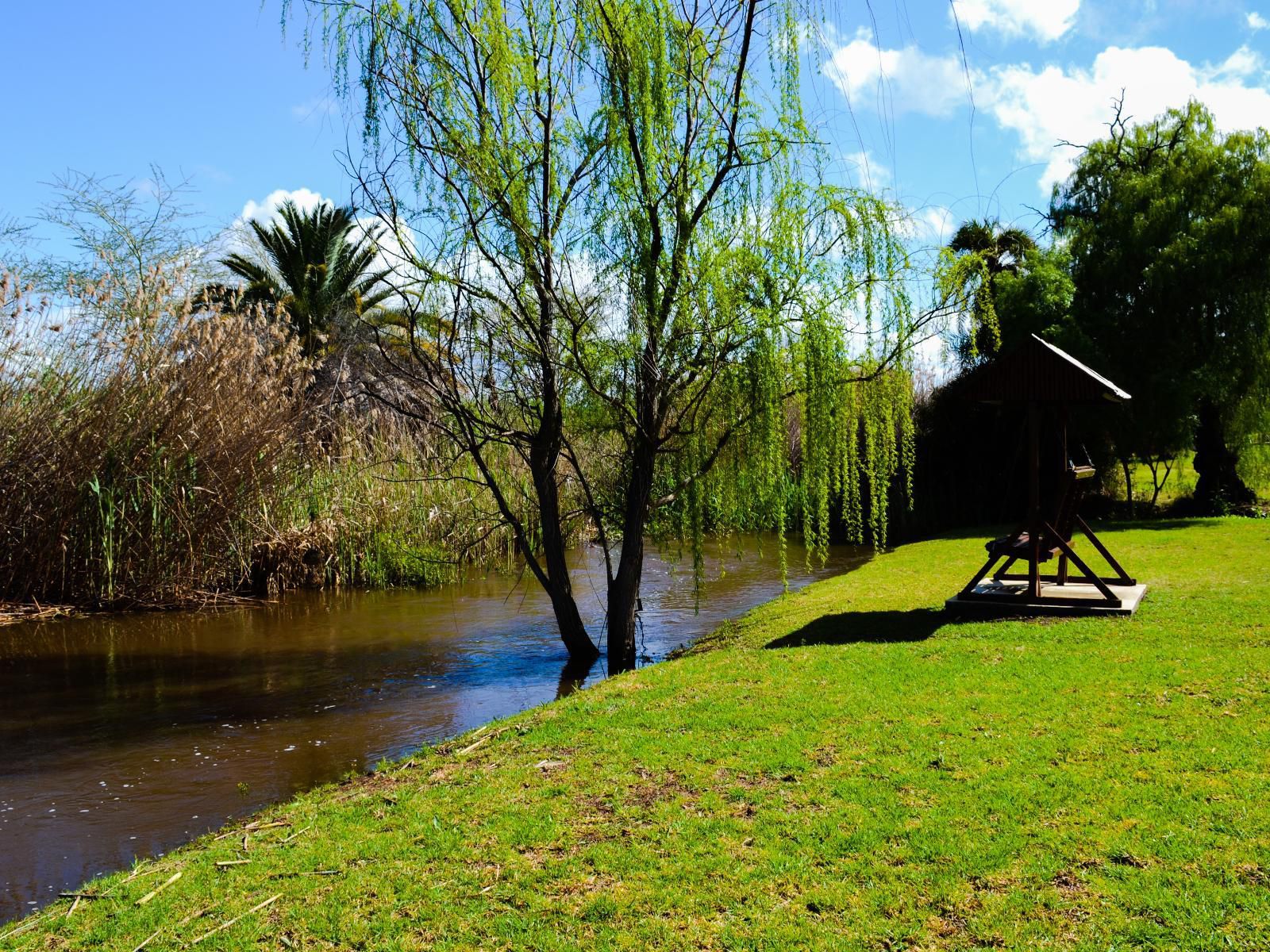 Riverside Guest Lodge, Palm Tree, Plant, Nature, Wood, River, Waters