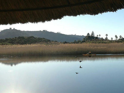 Riverside Hide A Way Wilderness Western Cape South Africa Bird, Animal, Beach, Nature, Sand, Lake, Waters