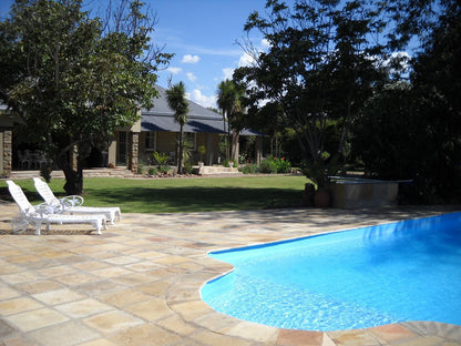 Riverside Lodge Aliwal North Eastern Cape South Africa Palm Tree, Plant, Nature, Wood, Swimming Pool