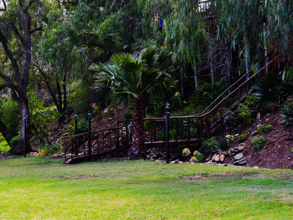 Riverside Lodge Oudtshoorn Western Cape South Africa Palm Tree, Plant, Nature, Wood, Garden