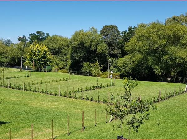 Riverside Manor Rosetta Kwazulu Natal South Africa Complementary Colors, Field, Nature, Agriculture, Plant, Tree, Wood, Garden