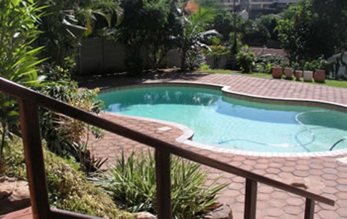 Riverside Palms Bed And Breakfast Umgeni Park Durban Kwazulu Natal South Africa Palm Tree, Plant, Nature, Wood, Garden, Swimming Pool