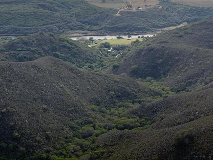 Riversong Farm Still Bay West Stilbaai Western Cape South Africa Unsaturated, Forest, Nature, Plant, Tree, Wood, Sign, Aerial Photography, Highland