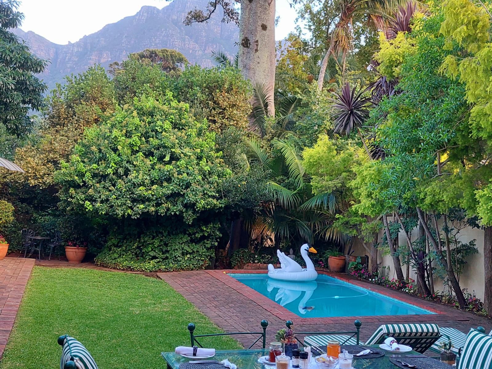 Riversong Guest House Newlands Cape Town Western Cape South Africa Garden, Nature, Plant, Swimming Pool