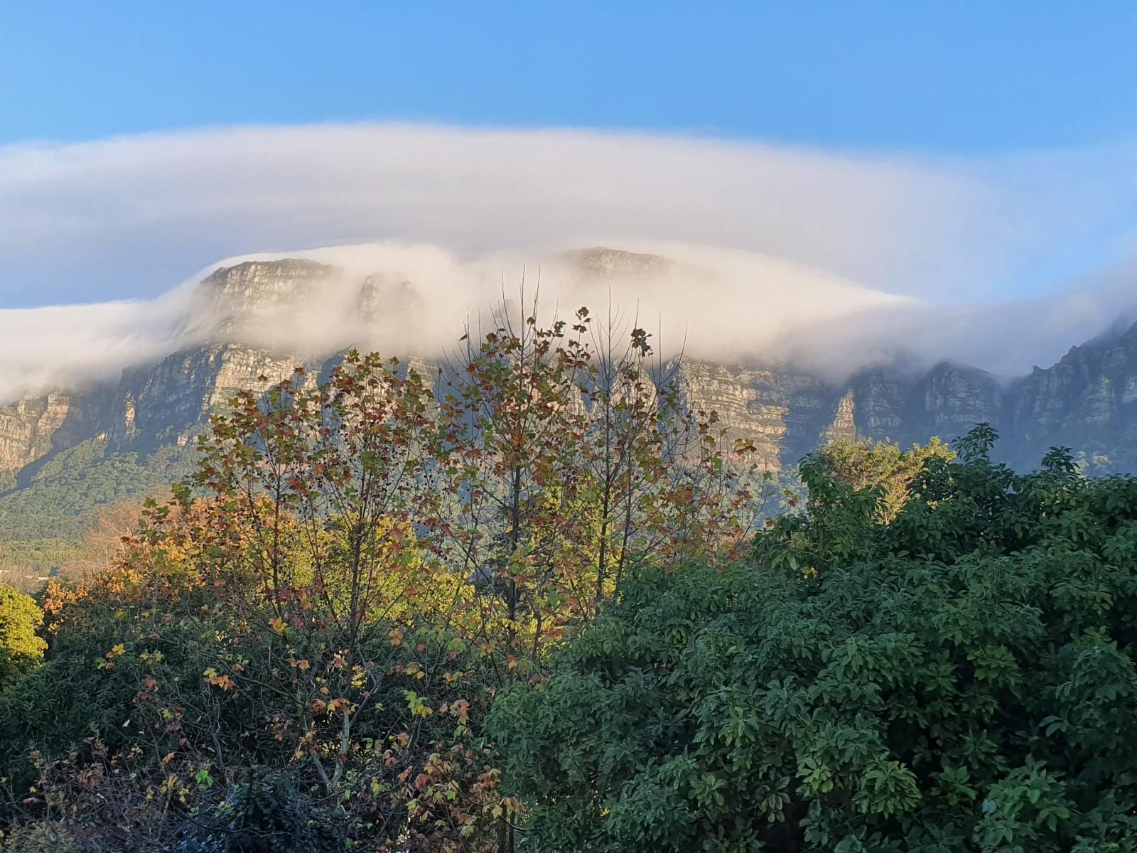 Riversong Guest House Newlands Cape Town Western Cape South Africa Mountain, Nature