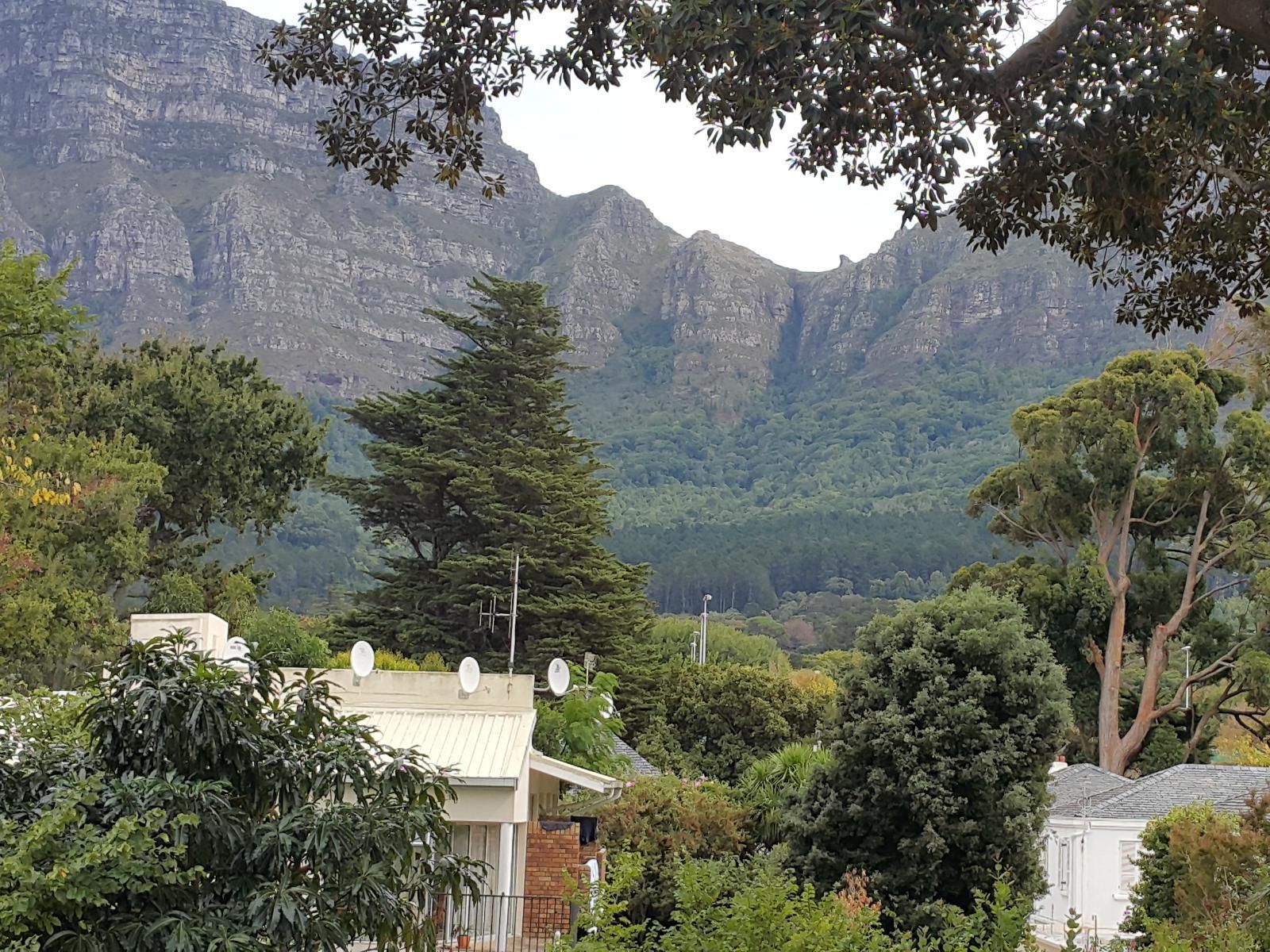 Riversong Guest House Newlands Cape Town Western Cape South Africa Mountain, Nature, Tree, Plant, Wood, Highland