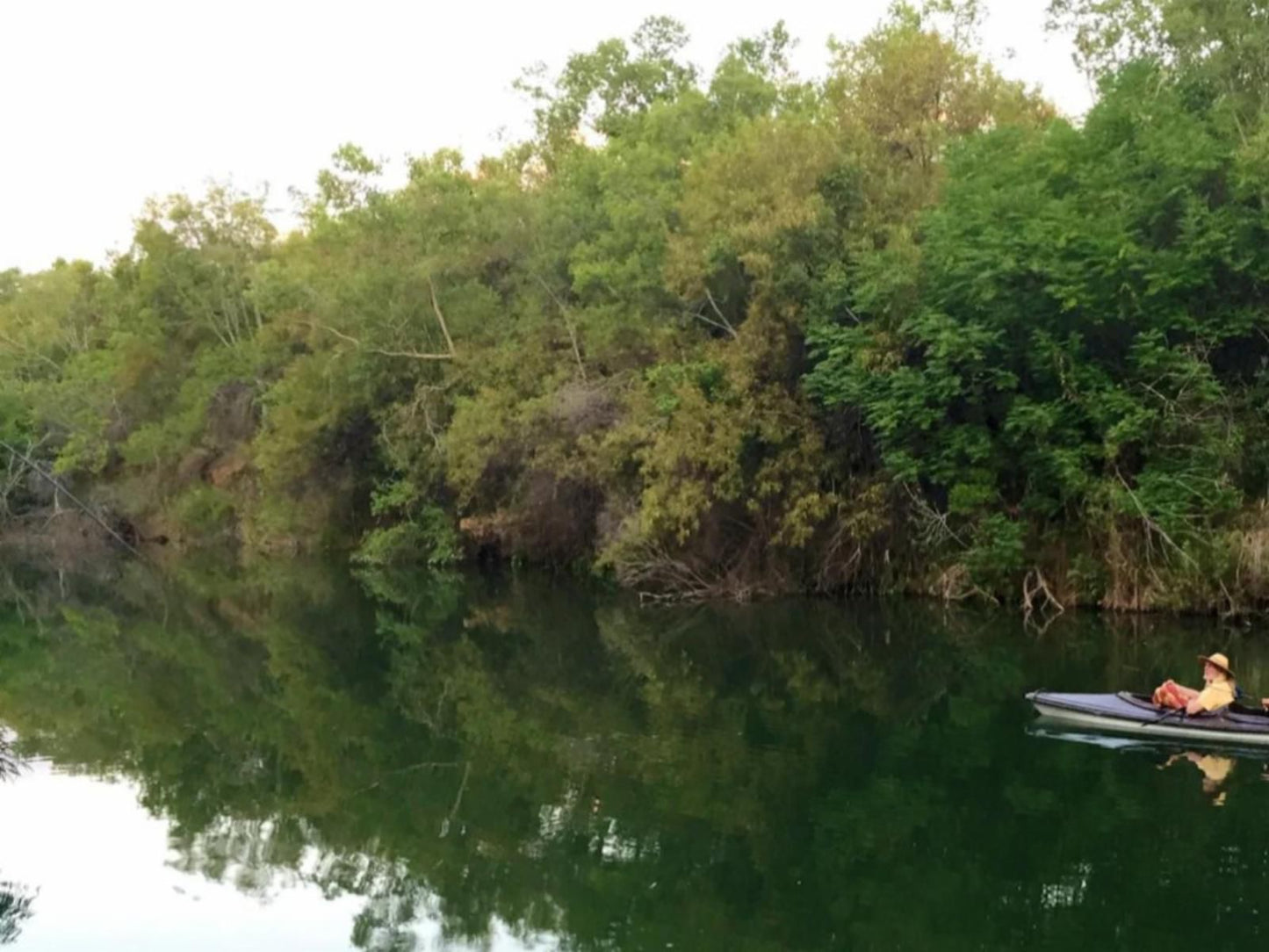 Riverstill Guest Farm Groot Marico North West Province South Africa Boat, Vehicle, Forest, Nature, Plant, Tree, Wood, River, Waters