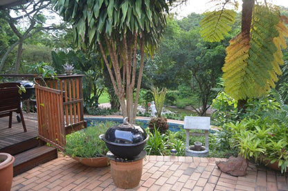 Riverview Self Catering Guesthouse Westville Durban Kwazulu Natal South Africa Plant, Nature, Garden