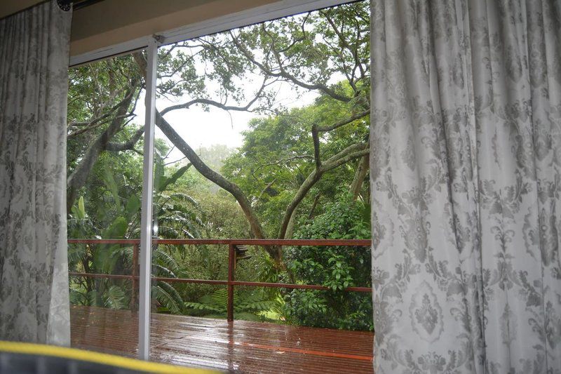 Riverview Self Catering Guesthouse Westville Durban Kwazulu Natal South Africa Plant, Nature, Tree, Wood, Garden, Rain