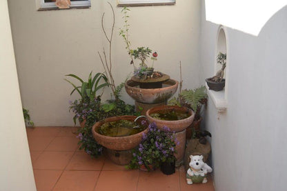 Riverview Self Catering Guesthouse Westville Durban Kwazulu Natal South Africa Plant, Nature, Garden