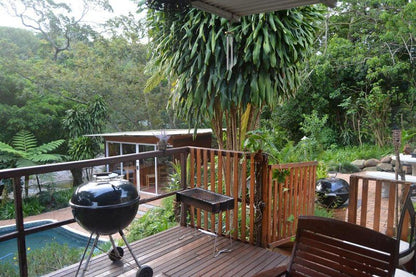 Riverview Self Catering Guesthouse Westville Durban Kwazulu Natal South Africa Garden, Nature, Plant