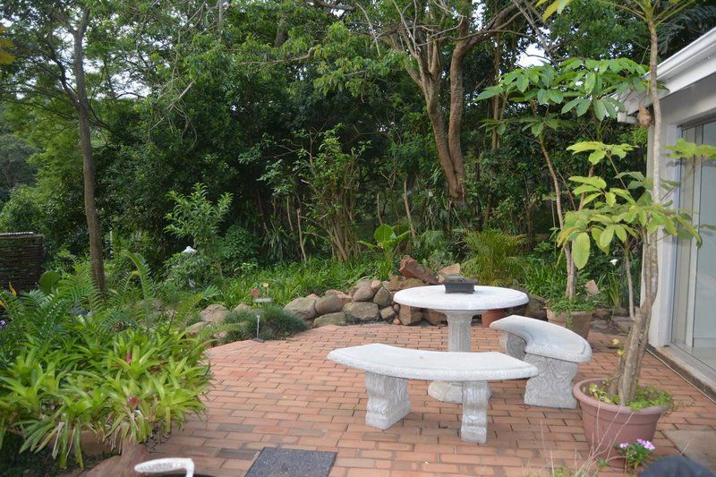 Riverview Self Catering Guesthouse Westville Durban Kwazulu Natal South Africa Plant, Nature, Garden